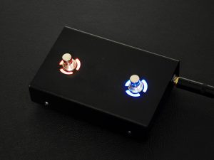2-Button Footswitch